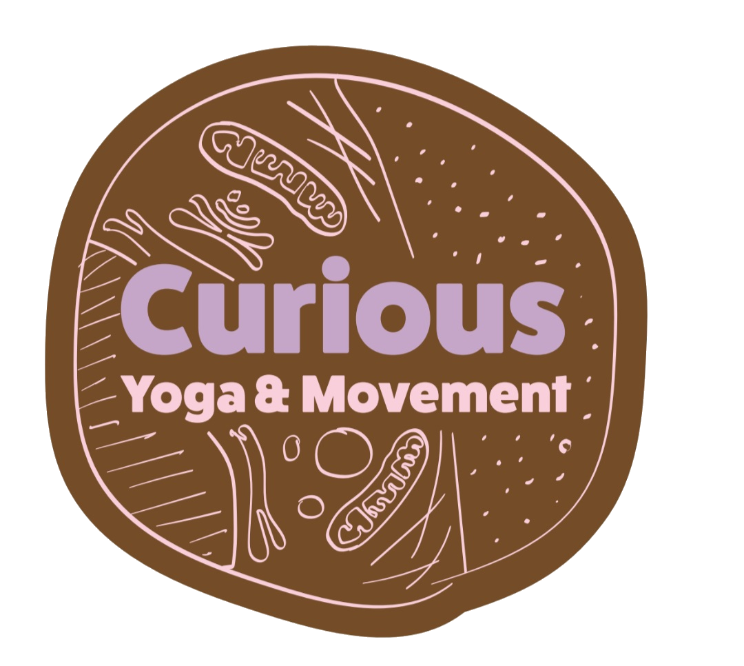 Curious Yoga & Movement